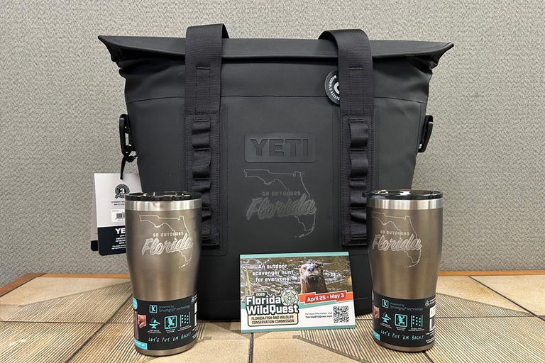 Yeti cooler and tumblers